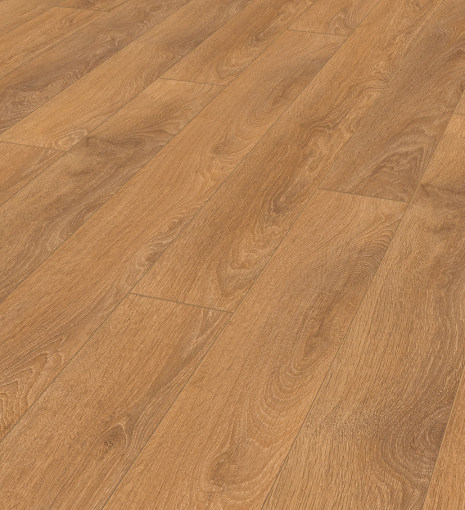 Harlech Oak 8573